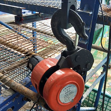 環(huán)鏈提升機(jī)的常見種類有哪些